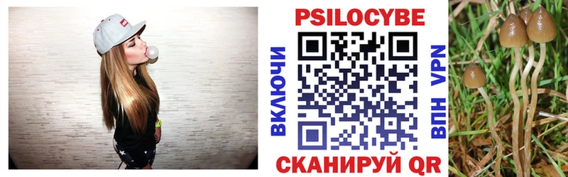 наркошоп  MEGA рабочий сайт  Галлюциногенные грибы GOLDEN TEACHER  Староминская 